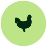 Poultry