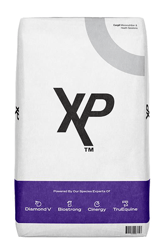 XP_Bag.png